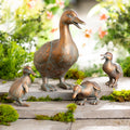 Duck Family with Mother and Three Babies