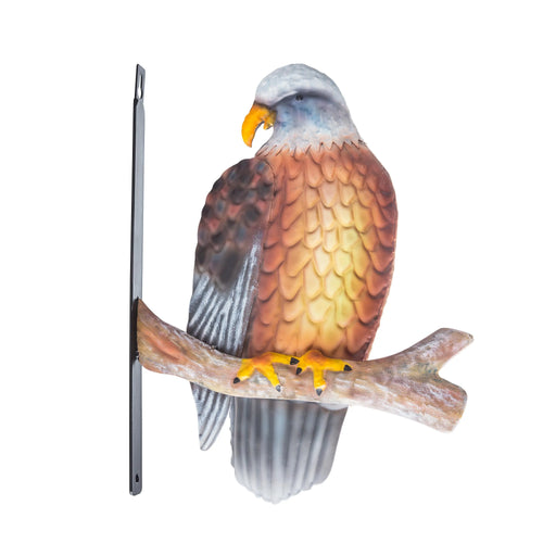 Eagle On Branch
