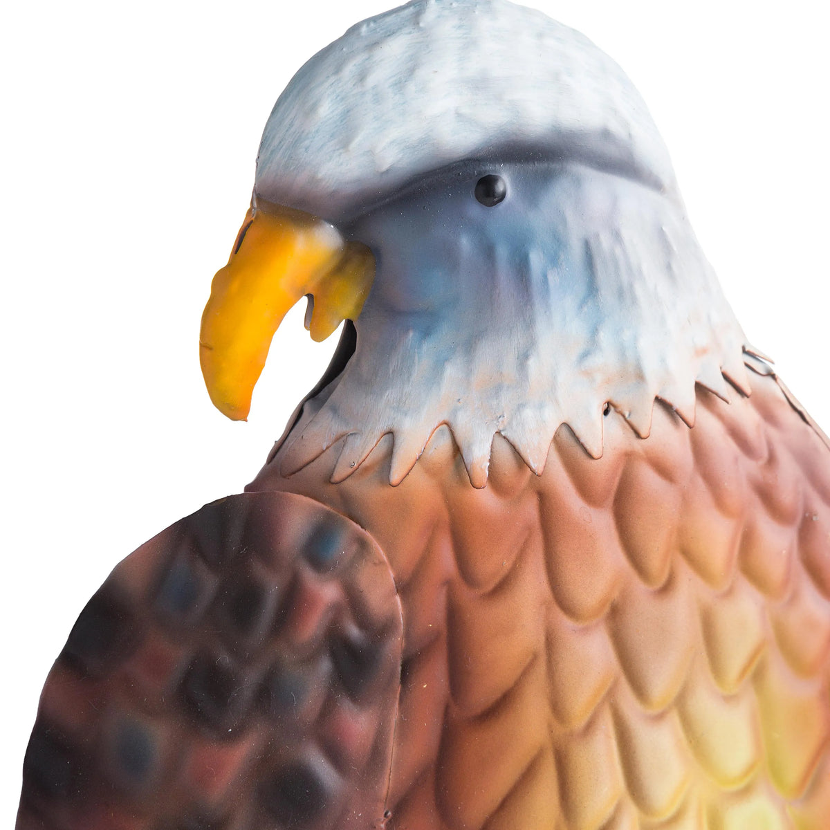 Eagle On Branch